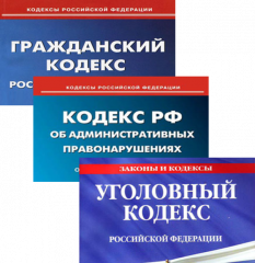 памятка для детей и родителей (законных представителей) об ответственности за совершение противоправных действий - фото - 2